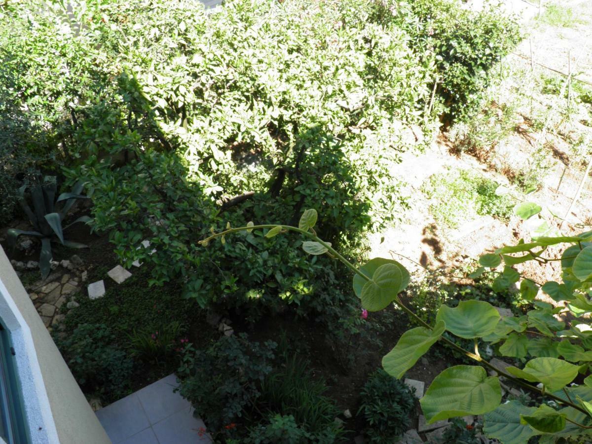 Apartman Mia Biograd Biograd Na Moru Exterior foto